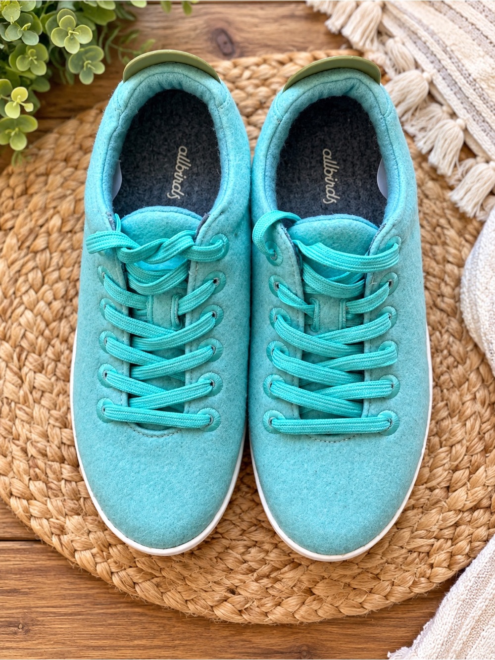 Allbirds Wool Pipers Women’s Sz 8 Aqua Turquoise Blue Merino Wool Sneakers